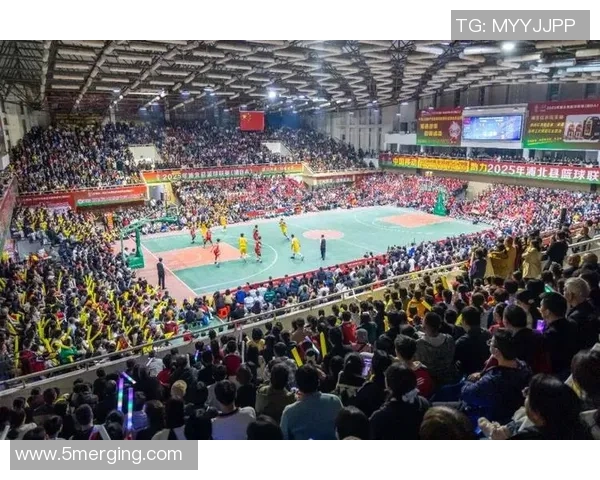 上海篮球队篮球意识创新高引领全国篮球发展新趋势